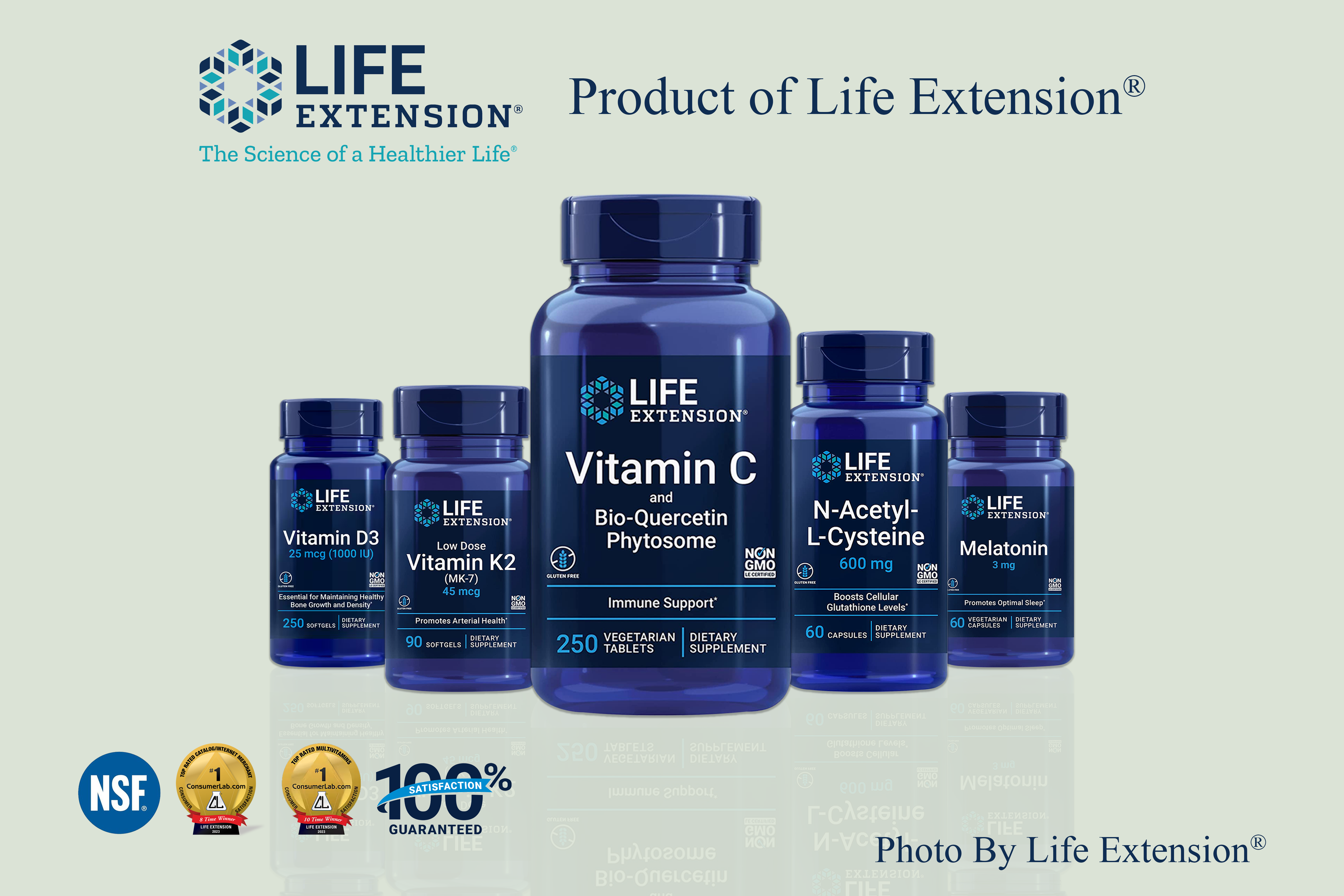 supplement